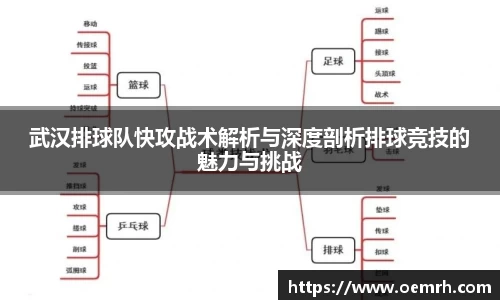 武汉排球队快攻战术解析与深度剖析排球竞技的魅力与挑战